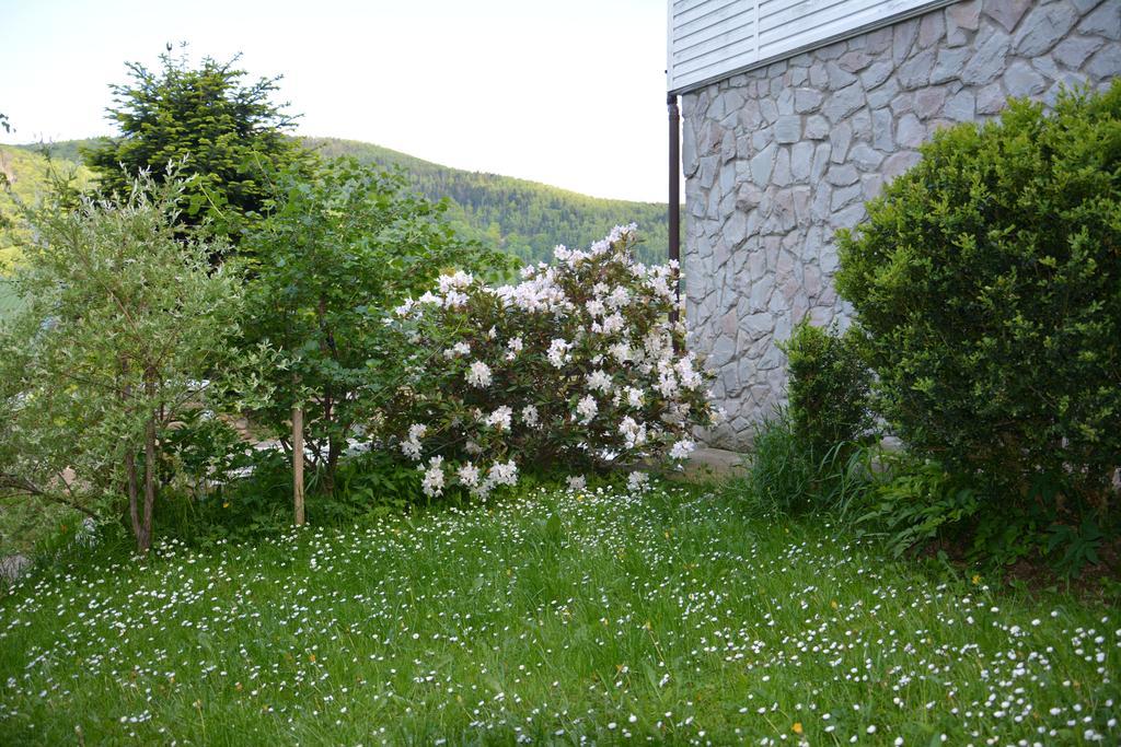 Sadyba Karpatiya Jaremče Exteriér fotografie